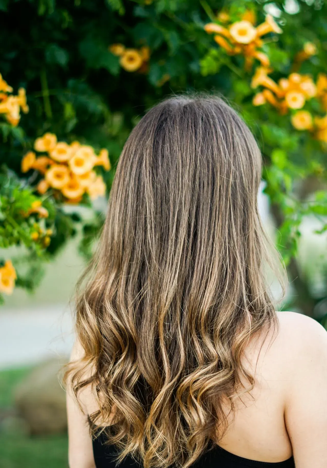 Balayage miodowy wykonany w salonie Sofi w Katowicach